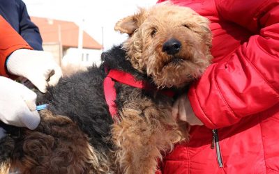 Kötelező eboltás Szerencsen és Ondon